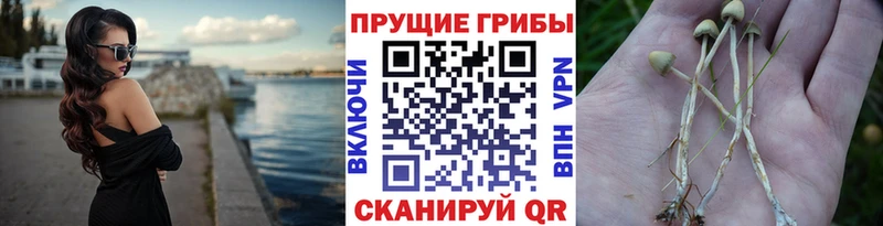 hydra маркетплейс  Иннополис  Псилоцибиновые грибы ЛСД 