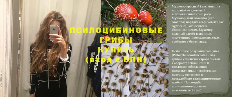 Галлюциногенные грибы Magic Shrooms  купить наркотик  MEGA маркетплейс  Иннополис 