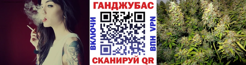 Бошки Шишки MAZAR  Иннополис 